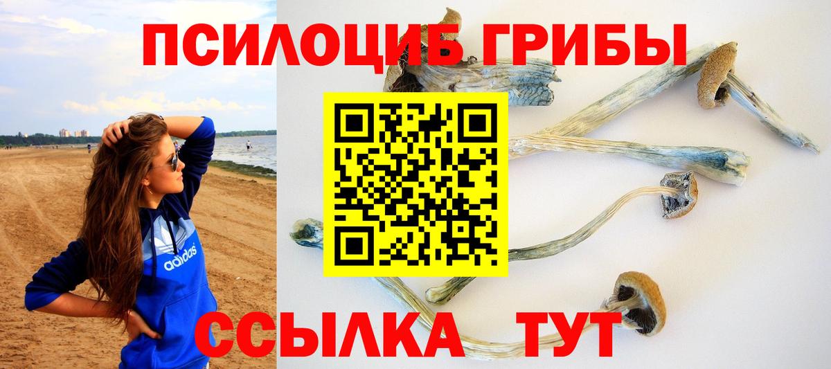Галлюциногенные грибы GOLDEN TEACHER Сухой Лог