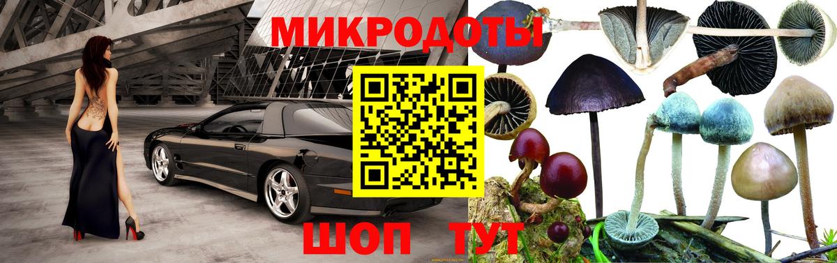 Сухой Лог  Галлюциногенные грибы ЛСД  Вход с VPN 