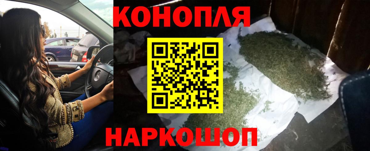 Канабис план Сухой Лог